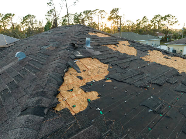 Best Skylight Installation and Repair  in Bellmawr, NJ